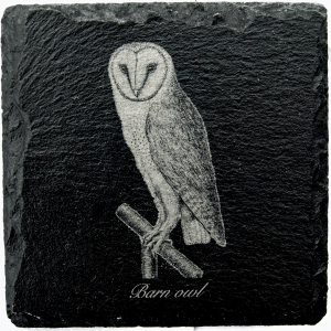 Barn owl coaster
