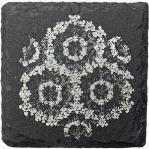 Coral 2