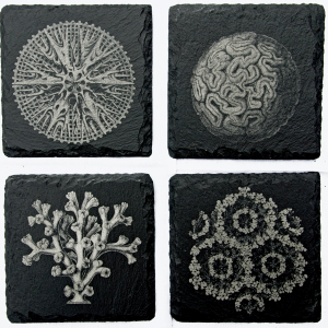 Coral slate coasters