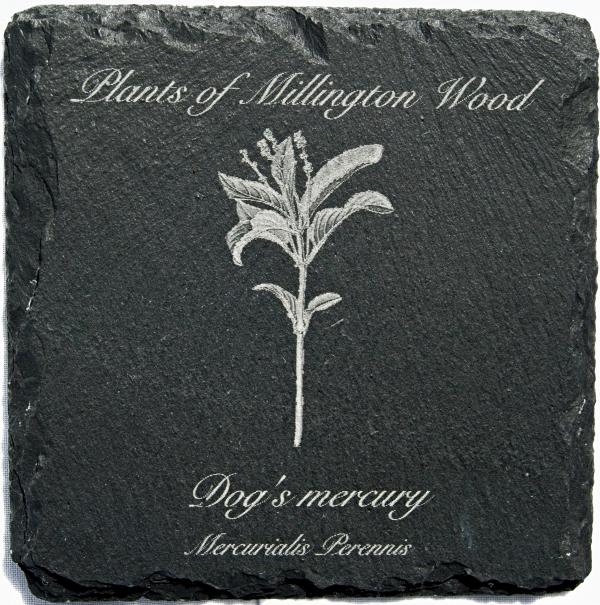 Millington wood plants slate coasters - Image 6