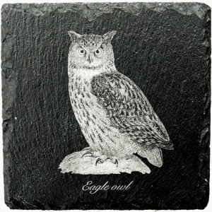 Eagle owl coaster