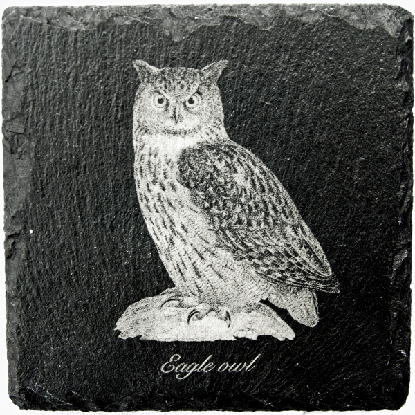 Eagle owl coaster