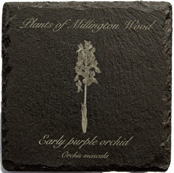 Millington wood plants slate coasters - Image 5