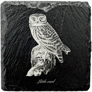 Little owl coaster