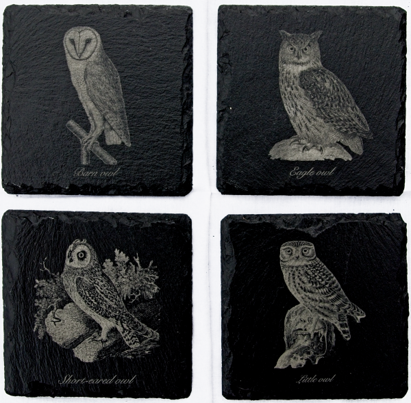 Owls slate coasters