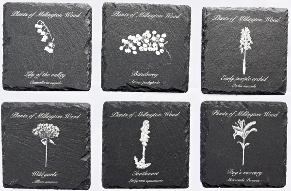 Millington wood plants slate coasters