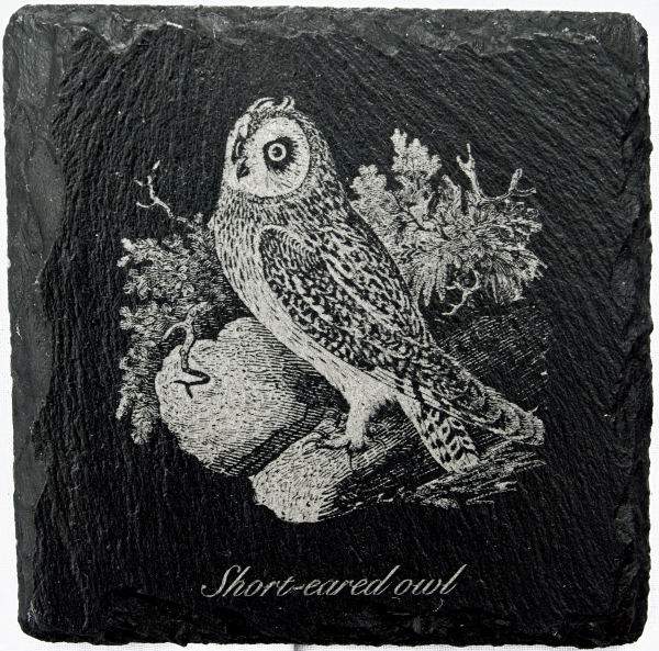Owls slate coasters - Image 2
