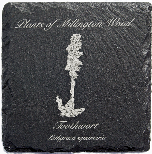 Millington wood plants slate coasters - Image 3