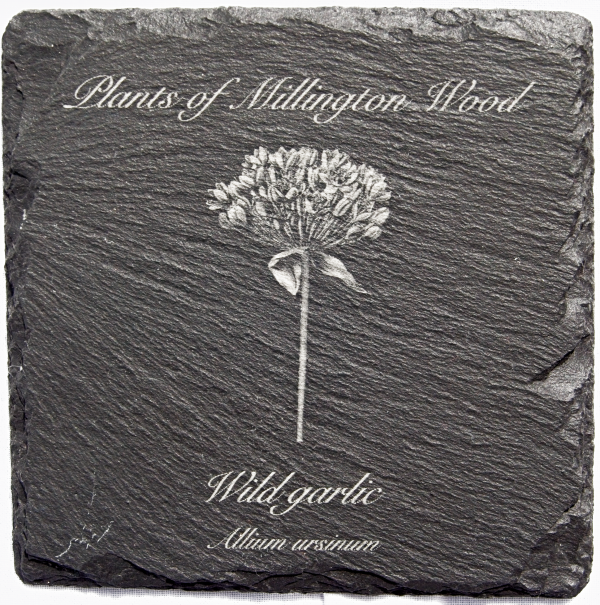 Millington wood plants slate coasters - Image 2